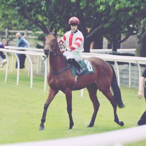 Catterick | Jubille Raceday | 3/6/22