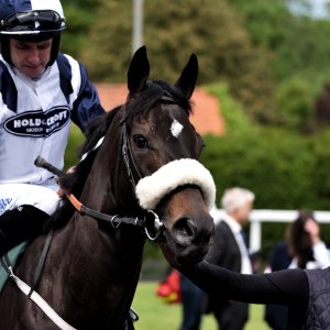 Catterick | Jubille Raceday | 3/6/22