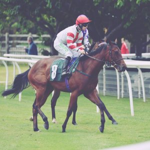 Catterick | Jubille Raceday | 3/6/22