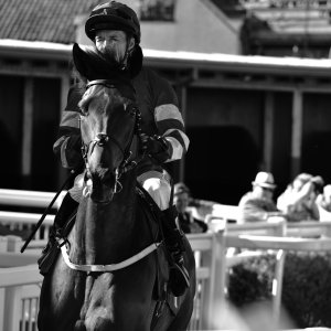 Catterick | Jubille Raceday | 3/6/22