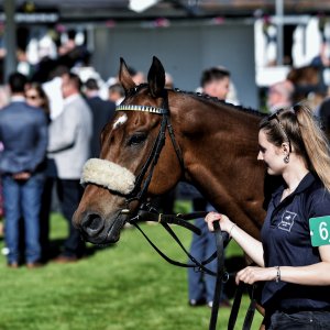 Catterick | Jubille Raceday | 3/6/22