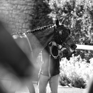 Catterick | Jubille Raceday | 3/6/22