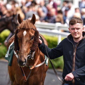 Catterick | Jubille Raceday | 3/6/22