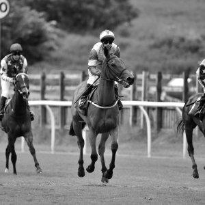 Catterick | Jubille Raceday | 3/6/22
