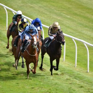 Catterick | Jubille Raceday | 3/6/22