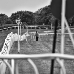 Catterick | Jubille Raceday | 3/6/22