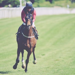 Catterick | Jubille Raceday | 3/6/22
