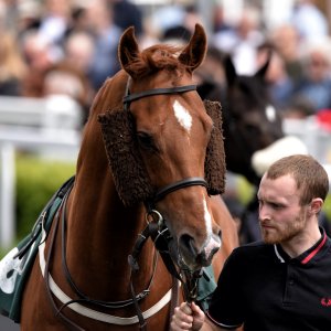 Catterick | Jubille Raceday | 3/6/22