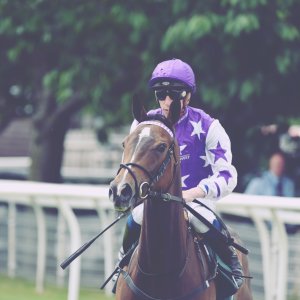 Catterick | Jubille Raceday | 3/6/22