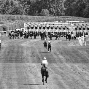 Catterick | Jubille Raceday | 3/6/22