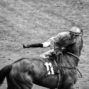 Catterick | Jubille Raceday | 3/6/22