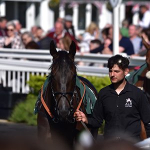 Catterick | Jubille Raceday | 3/6/22