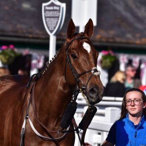 Catterick | Jubille Raceday | 3/6/22