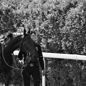 Catterick | Jubille Raceday | 3/6/22