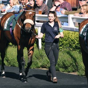 Catterick | Jubille Raceday | 3/6/22