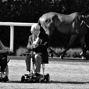 Catterick | Jubille Raceday | 3/6/22