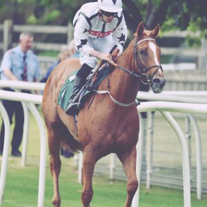 Catterick | Jubille Raceday | 3/6/22