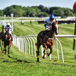 Catterick | Jubille Raceday | 3/6/22