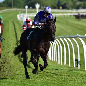 Catterick | Jubille Raceday | 3/6/22