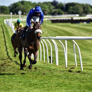 Catterick | Jubille Raceday | 3/6/22