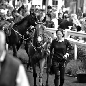 Catterick | Jubille Raceday | 3/6/22