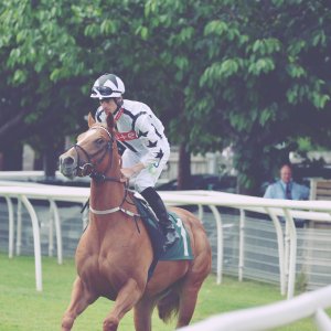 Catterick | Jubille Raceday | 3/6/22