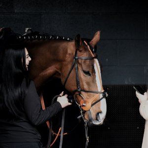 Doncaster | Sky Bet Chase | 28/1/23