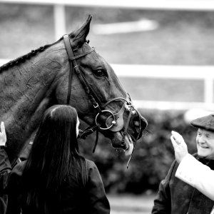 Doncaster | Sky Bet Chase | 28/1/23