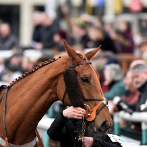 Doncaster | Sky Bet Chase | 28/1/23