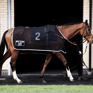 Doncaster | Sky Bet Chase | 28/1/23