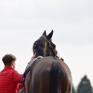 Doncaster | Sky Bet Chase | 28/1/23