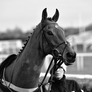 Doncaster | Sky Bet Chase | 28/1/23