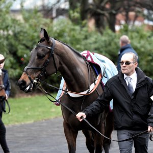 Doncaster | Sky Bet Chase | 28/1/23