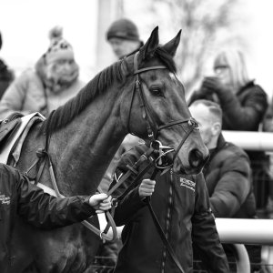 Doncaster | Sky Bet Chase | 28/1/23