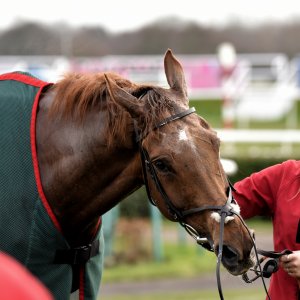 Doncaster | Sky Bet Chase | 28/1/23