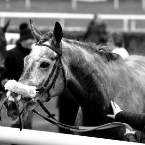 Doncaster | Sky Bet Chase | 28/1/23