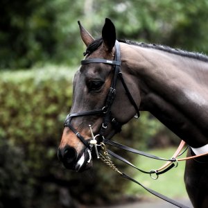 Doncaster | Sky Bet Chase | 28/1/23