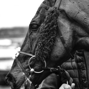 Doncaster | Sky Bet Chase | 28/1/23