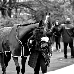 Doncaster | Sky Bet Chase | 28/1/23