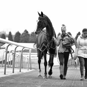 Doncaster | Sky Bet Chase | 28/1/23