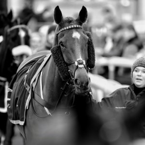 Doncaster | Sky Bet Chase | 28/1/23