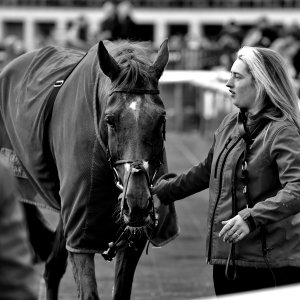 Doncaster | Sky Bet Chase | 28/1/23