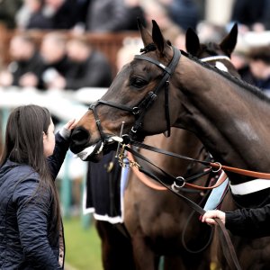 Doncaster | Sky Bet Chase | 28/1/23