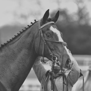 Doncaster | Sky Bet Chase | 28/1/23