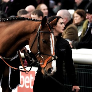 Doncaster | Sky Bet Chase | 28/1/23