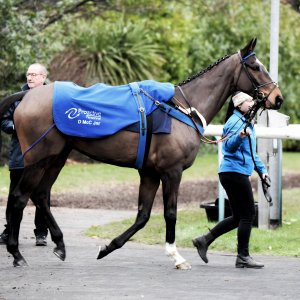 Doncaster | Sky Bet Chase | 28/1/23