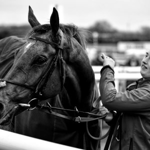 Doncaster | Sky Bet Chase | 28/1/23