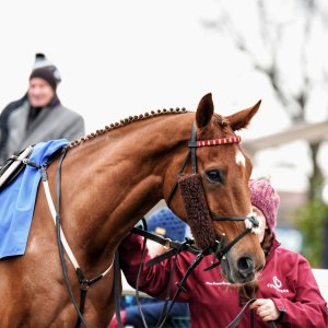 Doncaster | Sky Bet Chase | 28/1/23