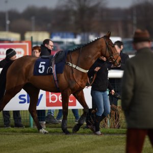 Doncaster | Sky Bet Chase | 28/1/23