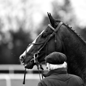 Doncaster | Sky Bet Chase | 28/1/23